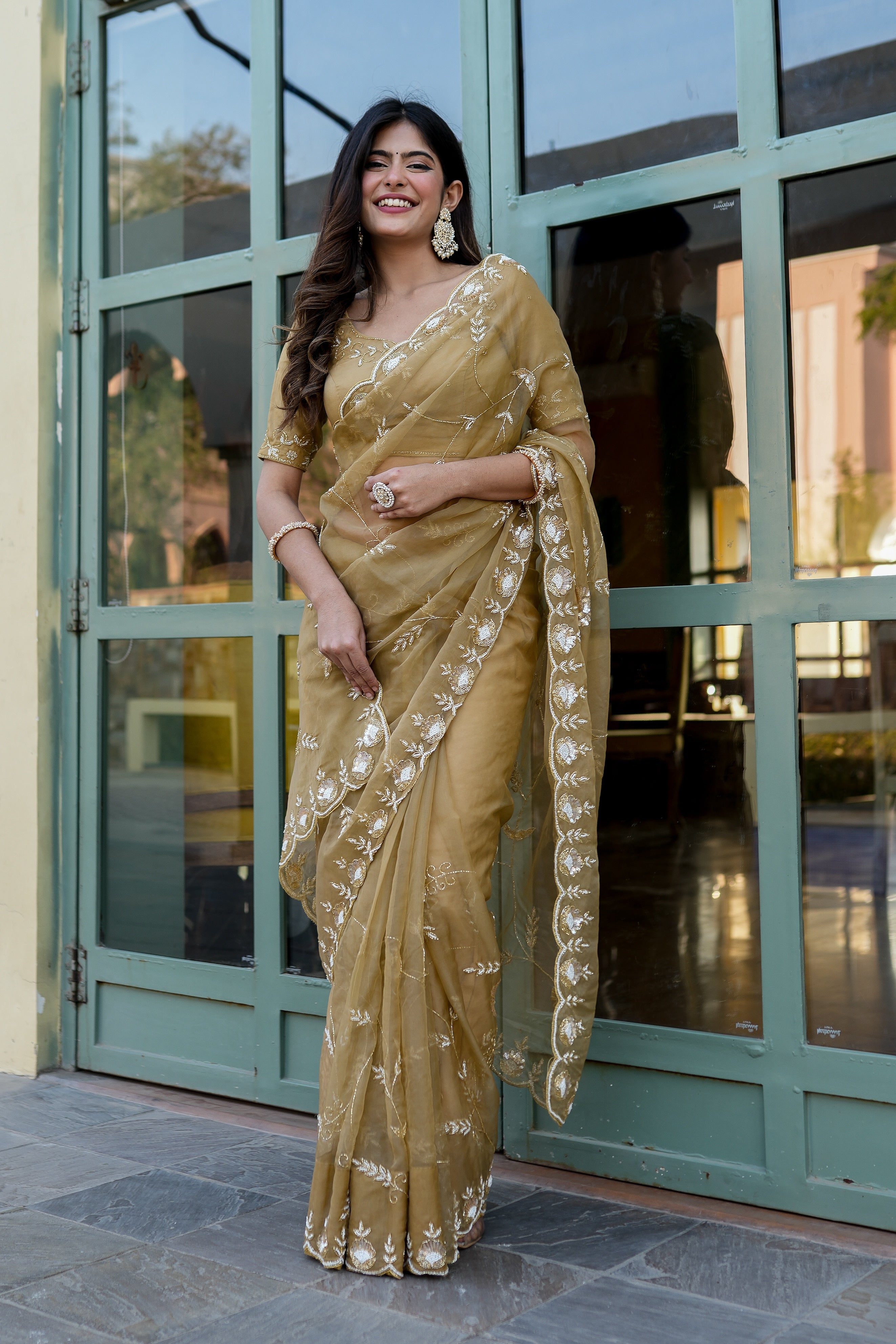 Royal Embellishment (Silk Organza Handwork Saree)