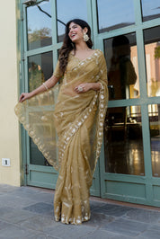 Royal Embellishment (Silk Organza Handwork Saree)