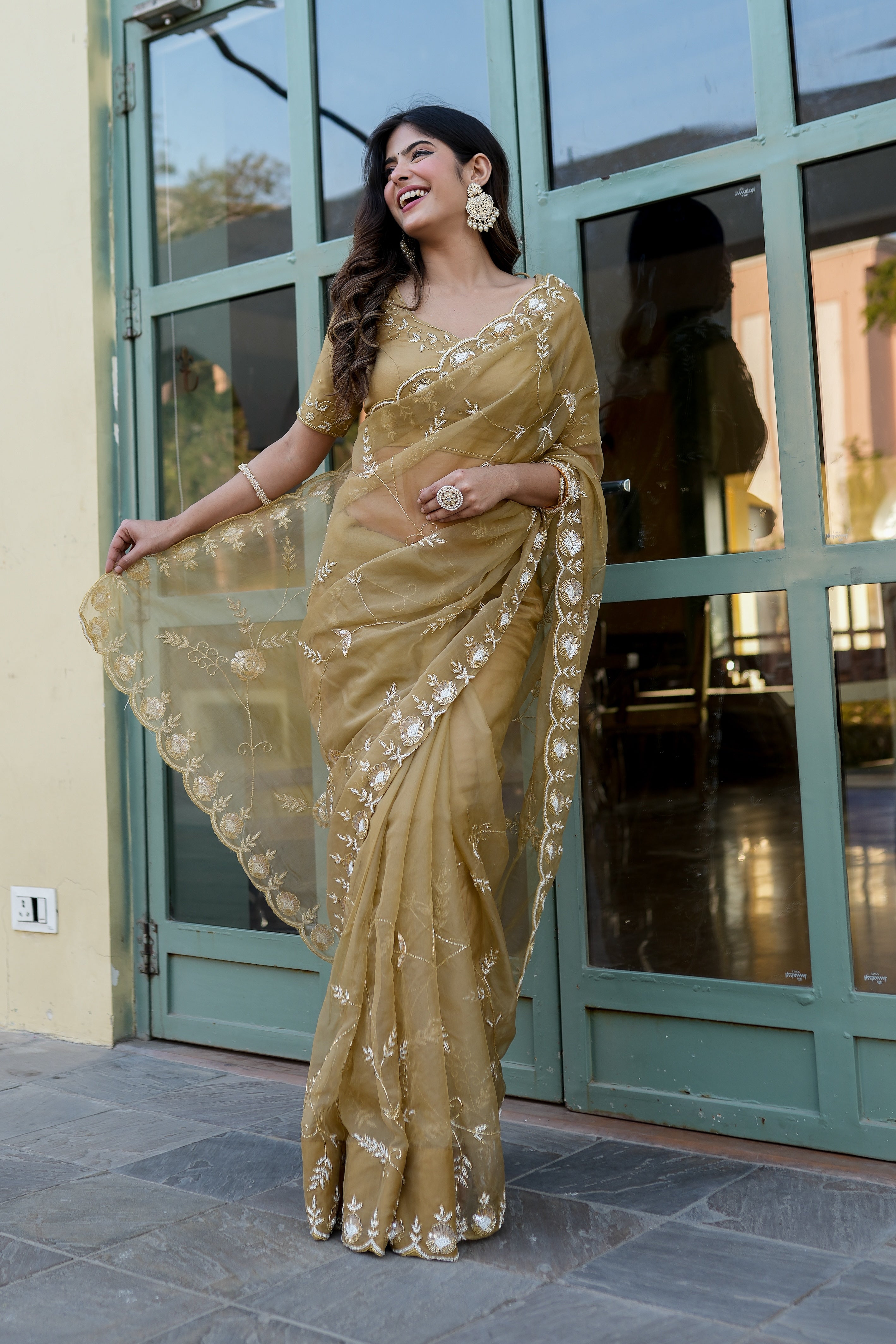 Royal Embellishment (Silk Organza Handwork Saree)