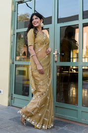 Royal Embellishment (Silk Organza Handwork Saree)