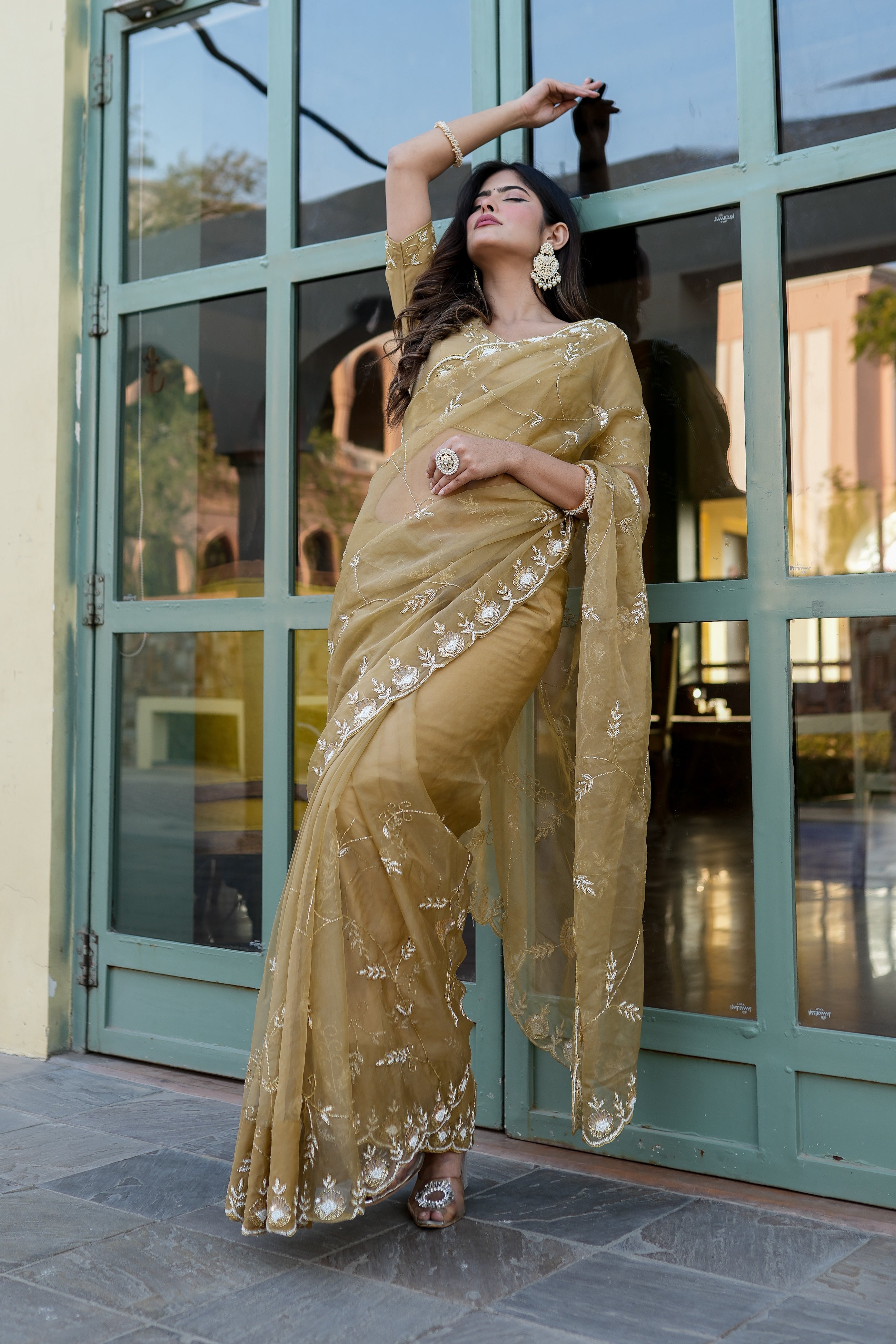 Royal Embellishment (Silk Organza Handwork Saree)