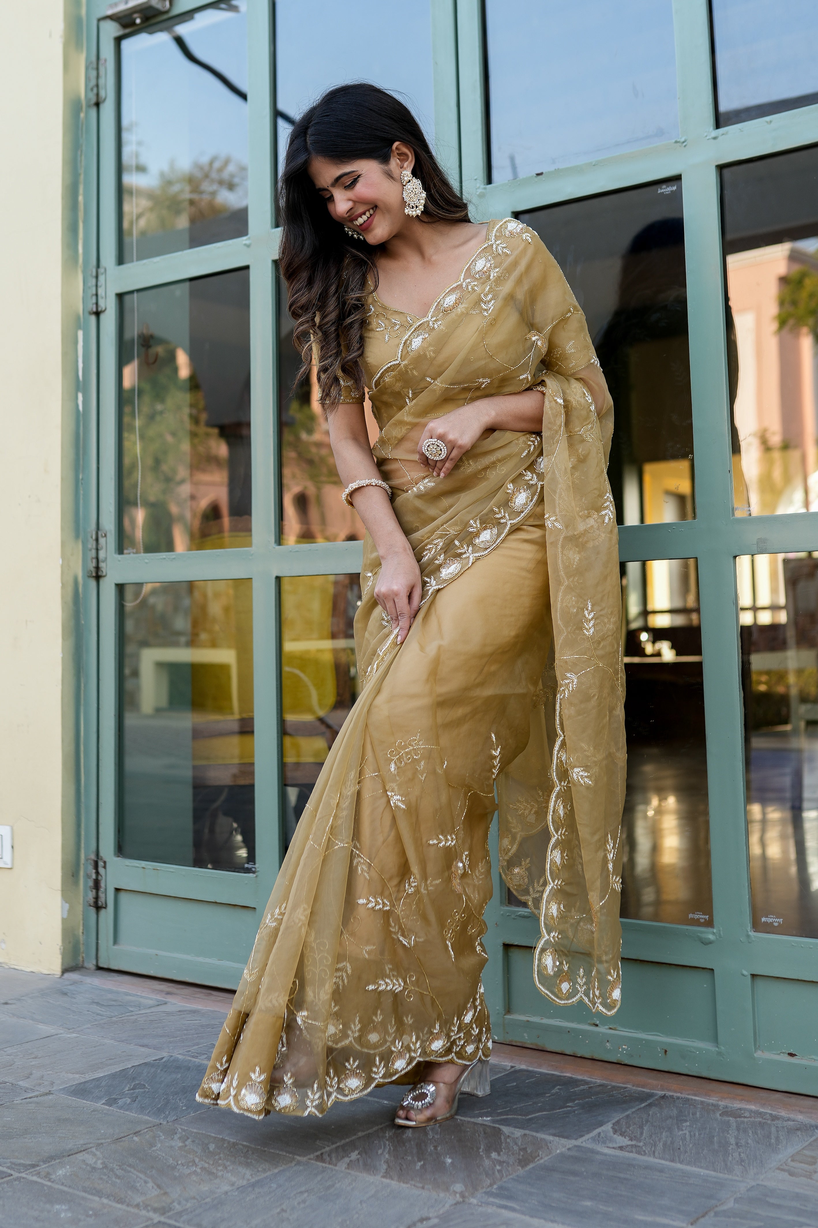 Royal Embellishment (Silk Organza Handwork Saree)