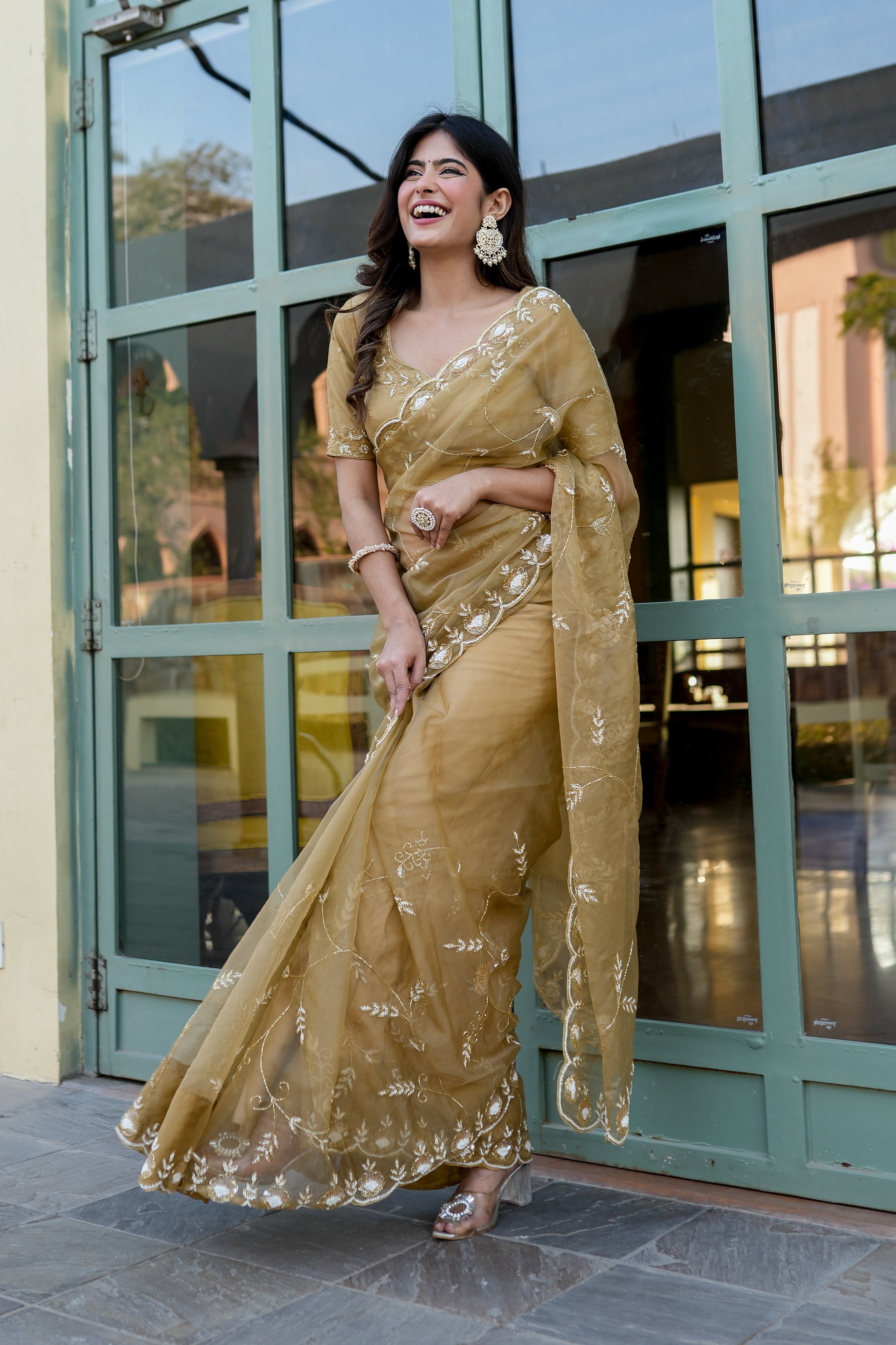 Royal Embellishment (Silk Organza Handwork Saree)