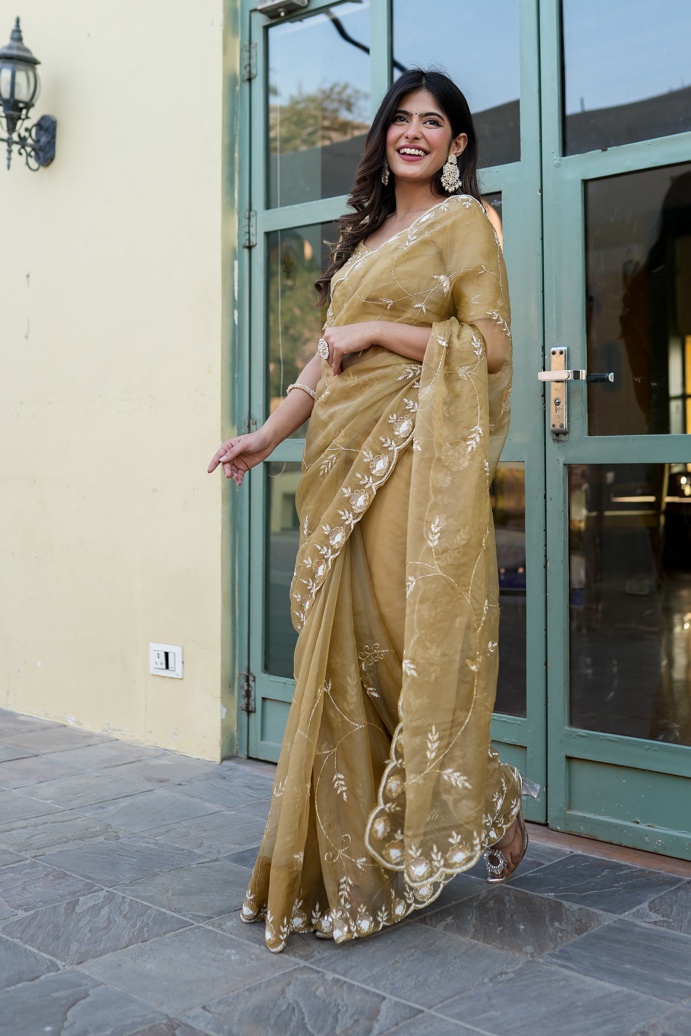 Royal Embellishment (Silk Organza Handwork Saree)