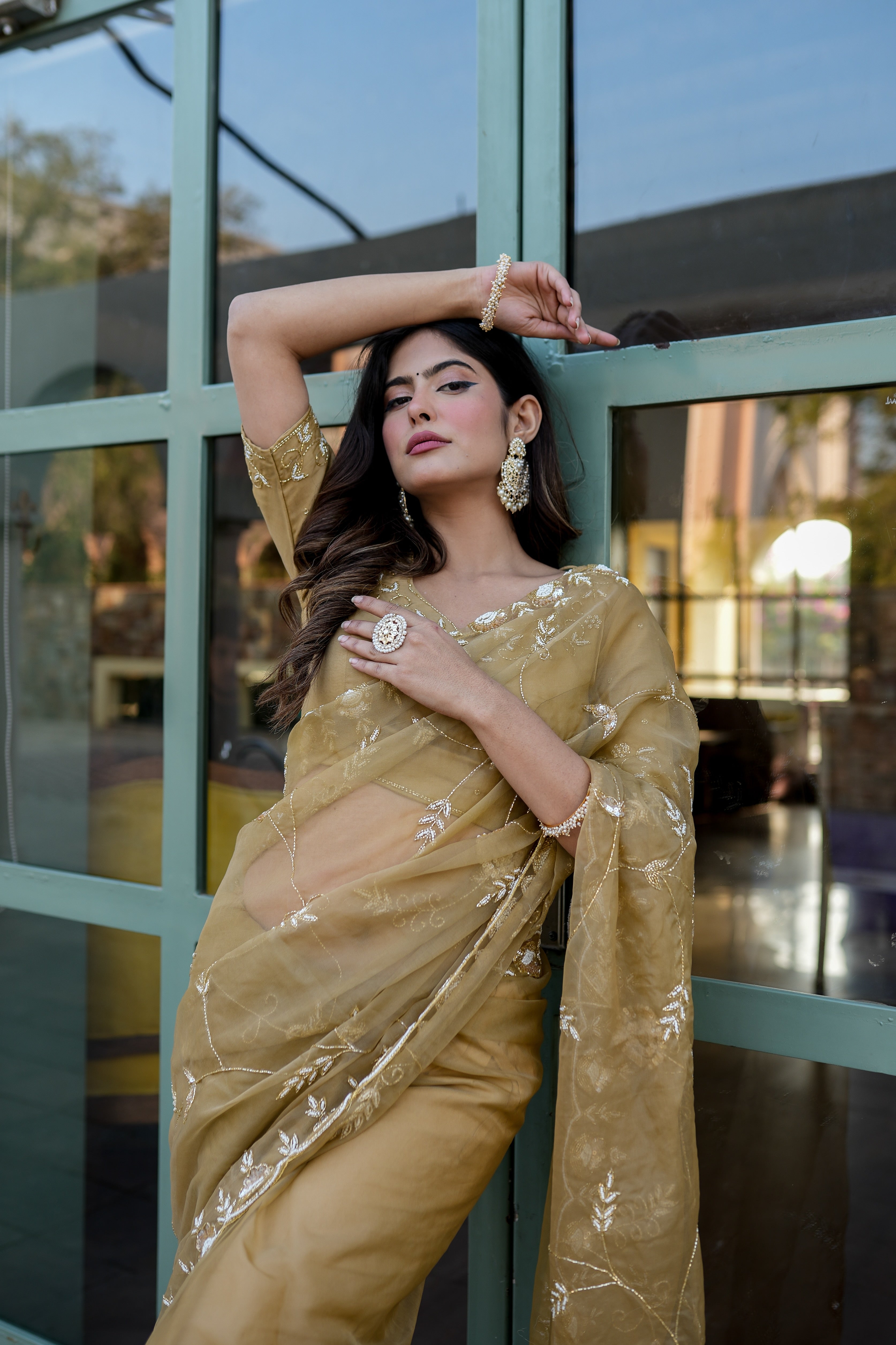 Royal Embellishment (Silk Organza Handwork Saree)