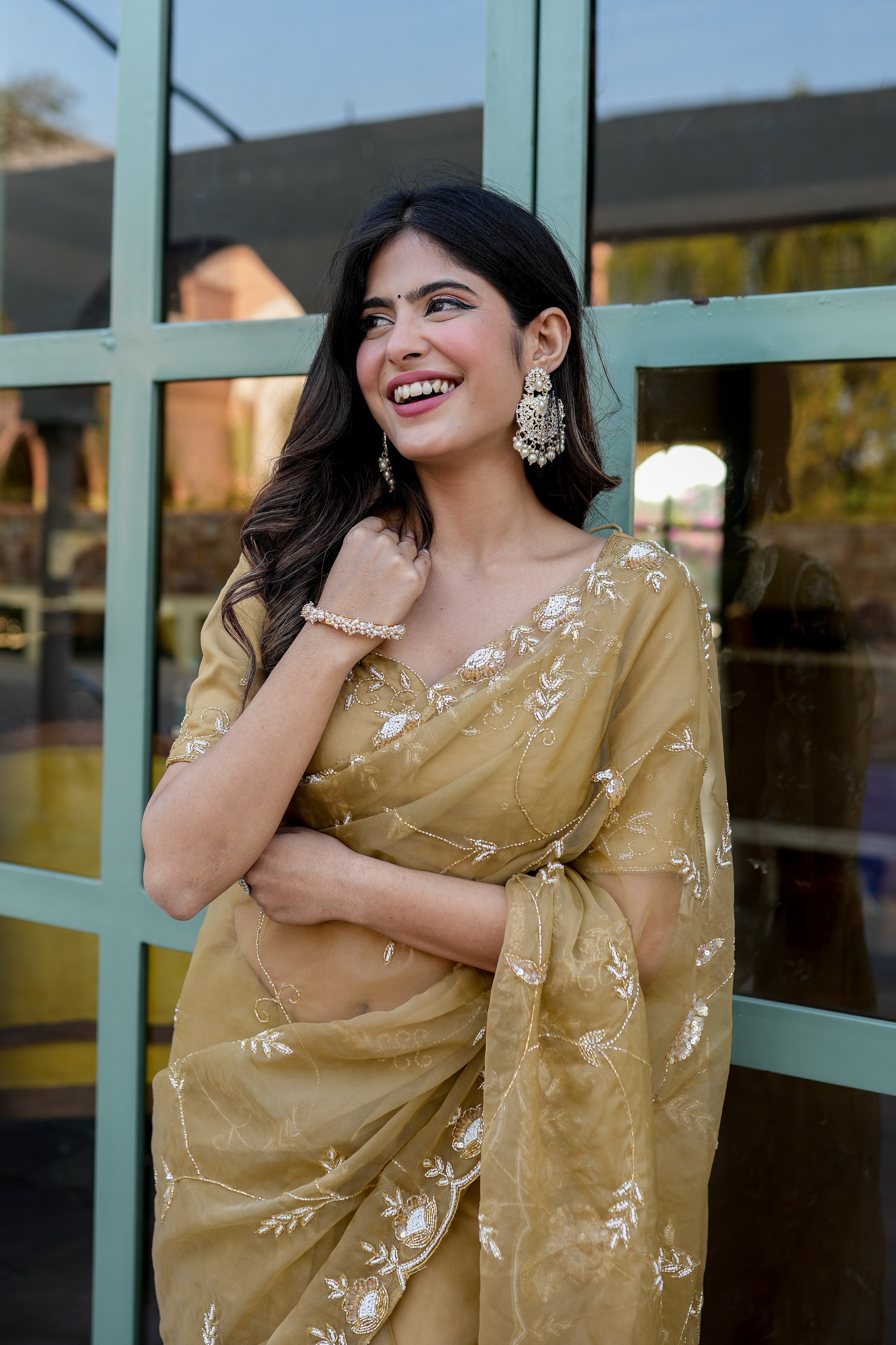 Royal Embellishment (Silk Organza Handwork Saree)