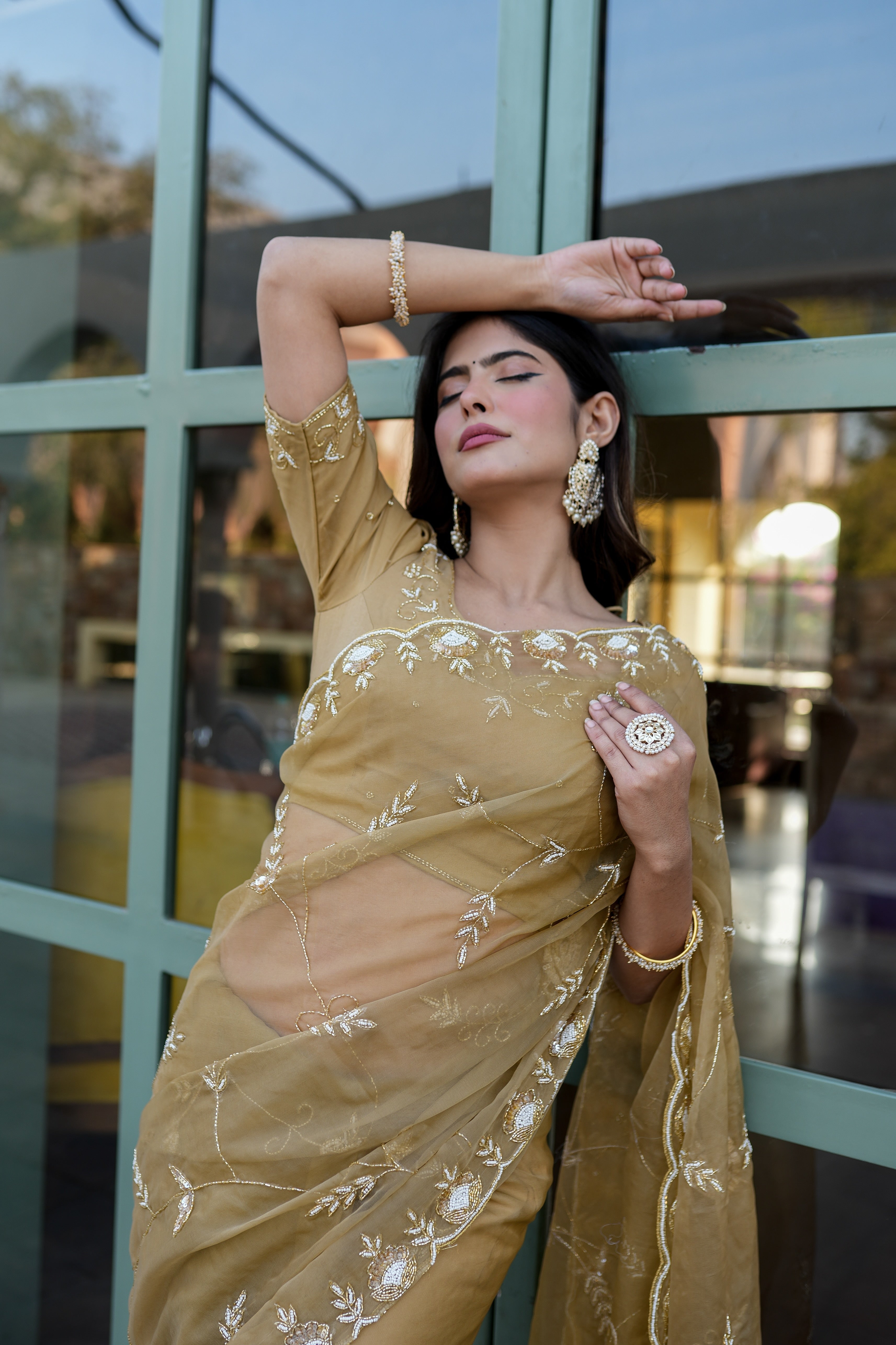 Royal Embellishment (Silk Organza Handwork Saree)