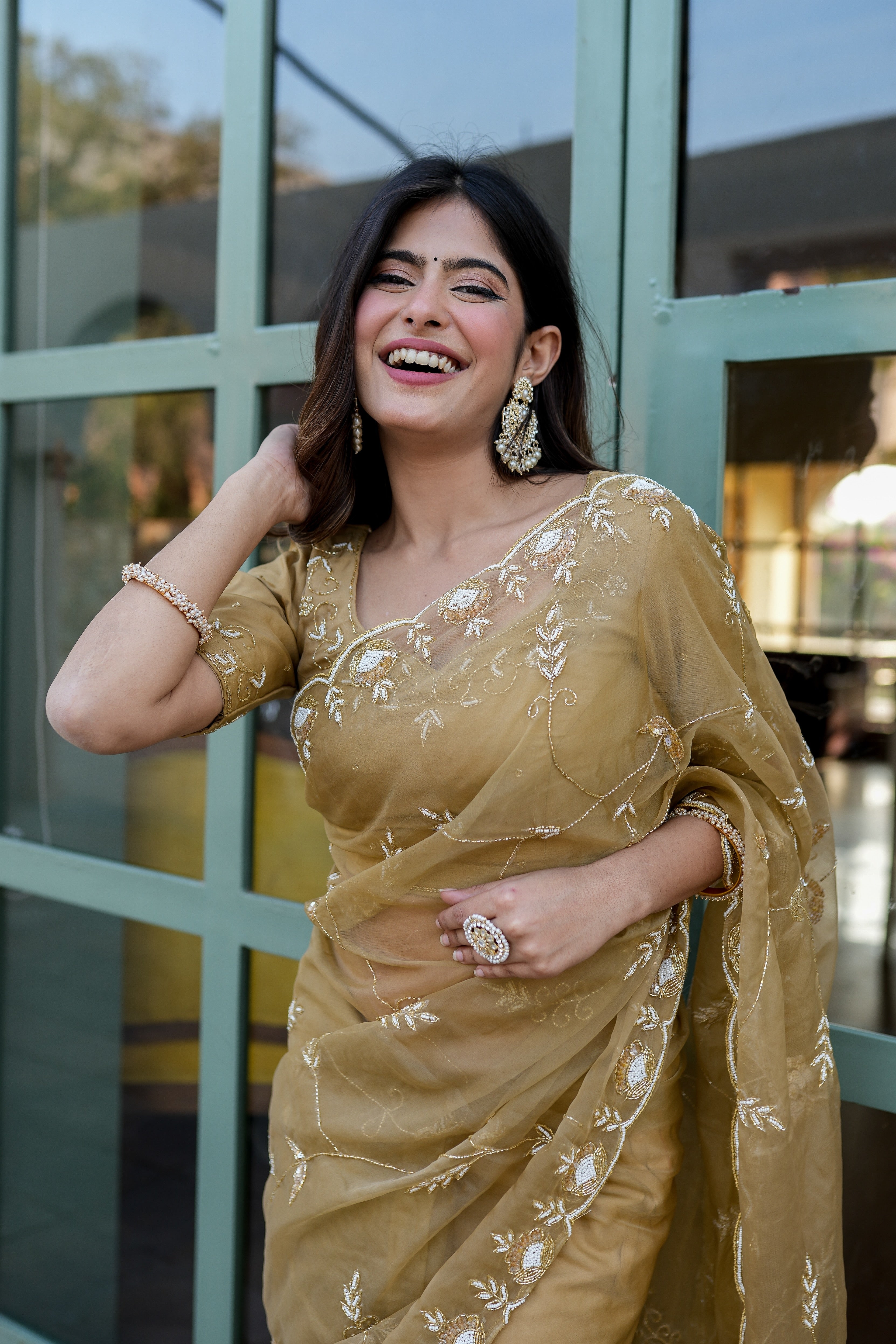 Royal Embellishment (Silk Organza Handwork Saree)