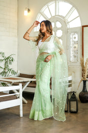 Emerald Enchantment (Embroidered Buttis Organza Pastel Green Saree)