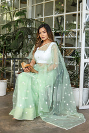 Emerald Enchantment (Embroidered Buttis Organza Pastel Green Saree)