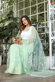 Emerald Enchantment (Embroidered Buttis Organza Pastel Green Saree)