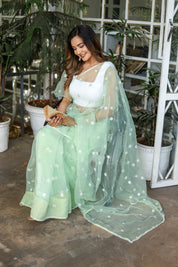 Emerald Enchantment (Embroidered Buttis Organza Pastel Green Saree)