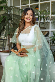 Emerald Enchantment (Embroidered Buttis Organza Pastel Green Saree)