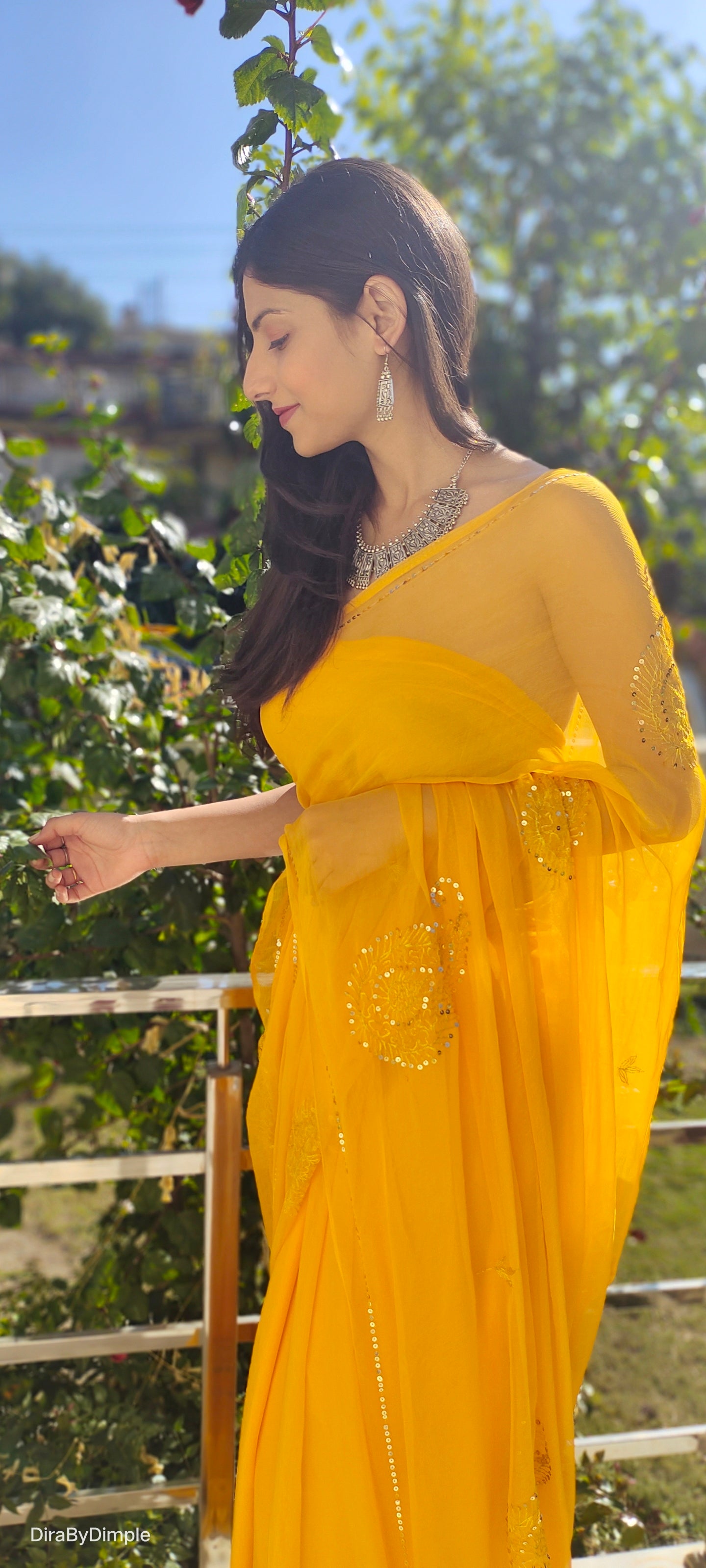 Buttercup Voile (Hand Embroidered Chiffon Saree)