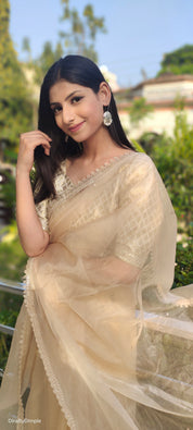 Lustrous Royalty (Organza Saree with Lave border)