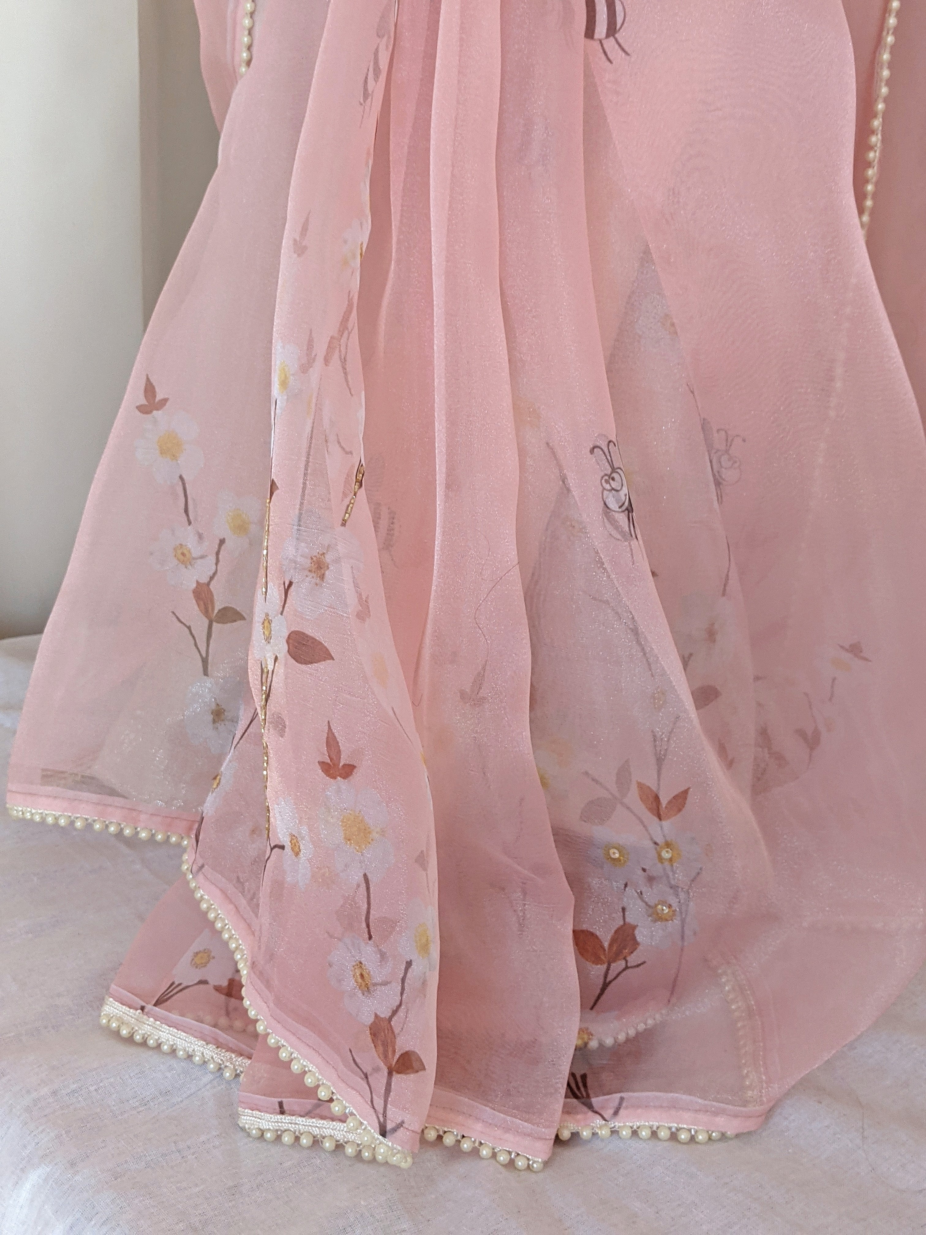Blush Vibe (Pure Organza Hand Painted Saree)