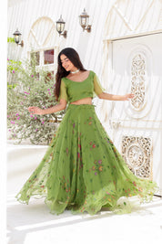 Raag Basant (Handpainted Green Lehenga on Pure Organza)