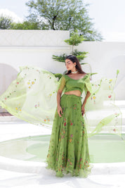 Raag Basant (Handpainted Green Lehenga on Pure Organza)
