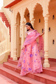 Raag Bageshree (Handpainted Pink Pure Organza Lehenga)