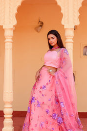 Raag Bageshree (Handpainted Pink Pure Organza Lehenga)