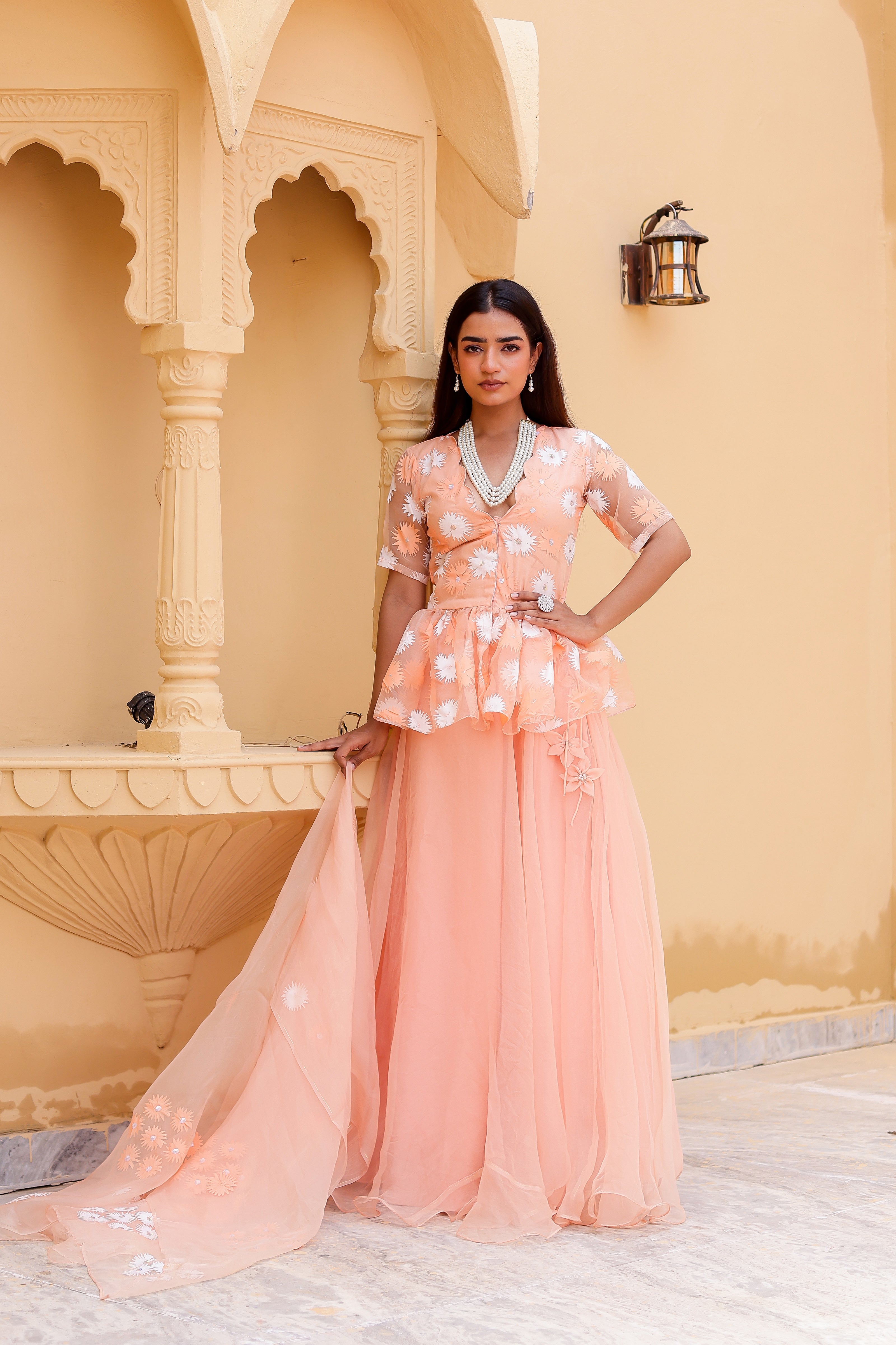 Raag Madhuwanti (Handpainted Peach Pure Organza Lehenga)