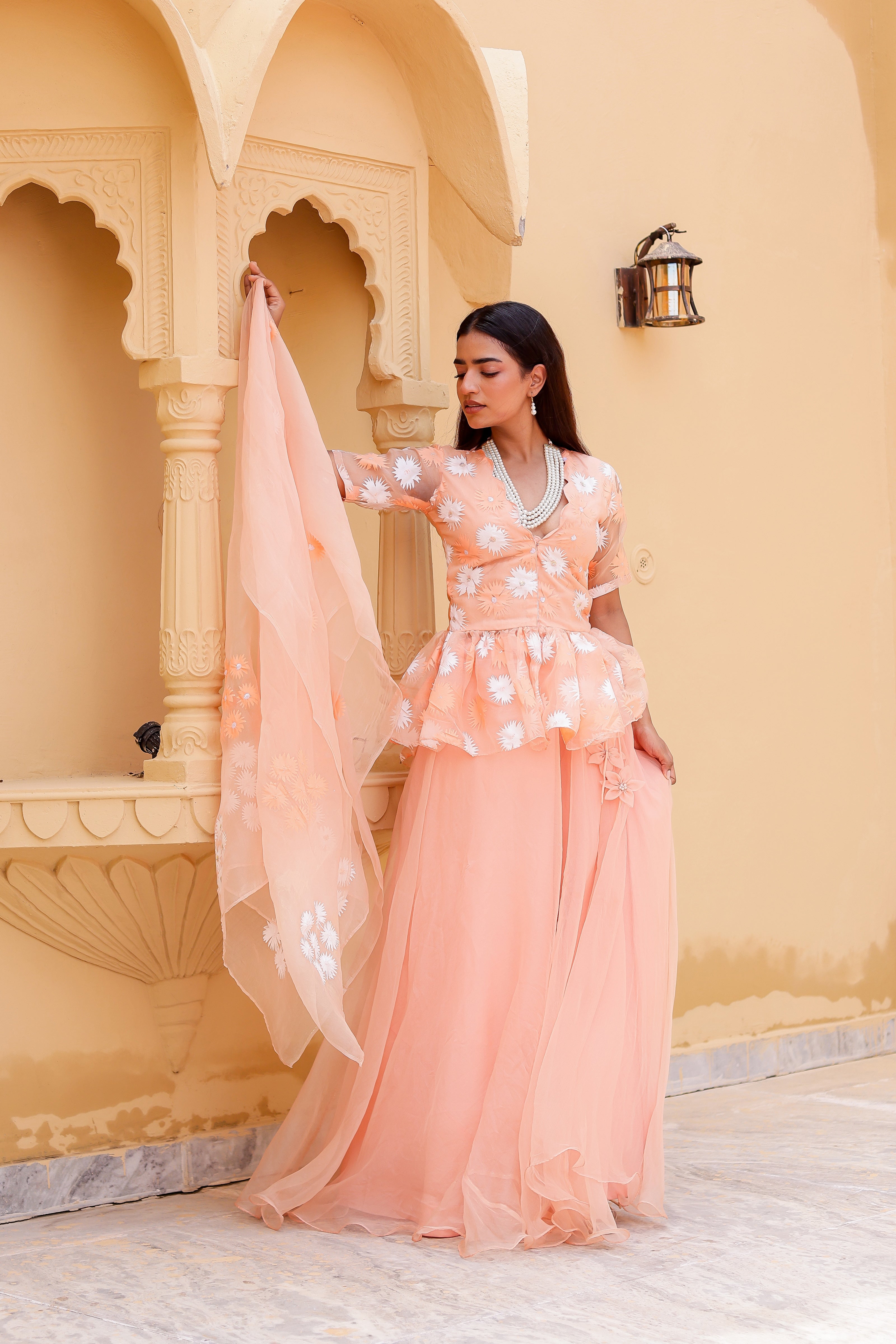 Raag Madhuwanti (Handpainted Peach Pure Organza Lehenga)