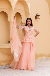 Raag Madhuwanti (Handpainted Peach Pure Organza Lehenga)
