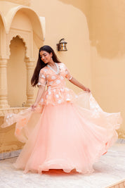 Raag Madhuwanti (Handpainted Peach Pure Organza Lehenga)