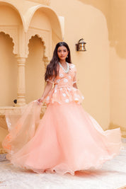 Raag Madhuwanti (Handpainted Peach Pure Organza Lehenga)