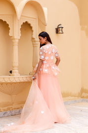 Raag Madhuwanti (Handpainted Peach Pure Organza Lehenga)