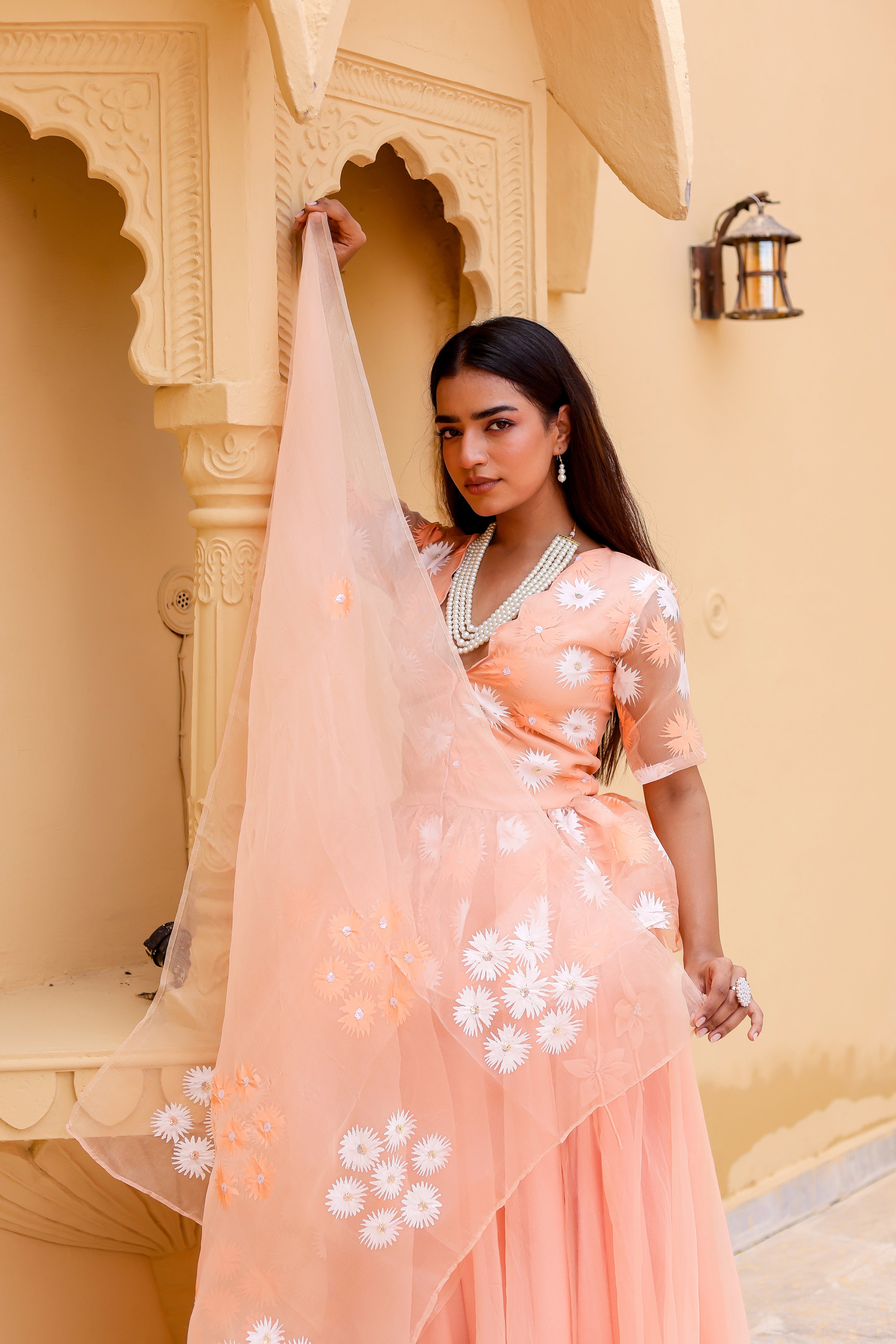 Raag Madhuwanti (Handpainted Peach Pure Organza Lehenga)