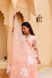 Raag Madhuwanti (Handpainted Peach Pure Organza Lehenga)