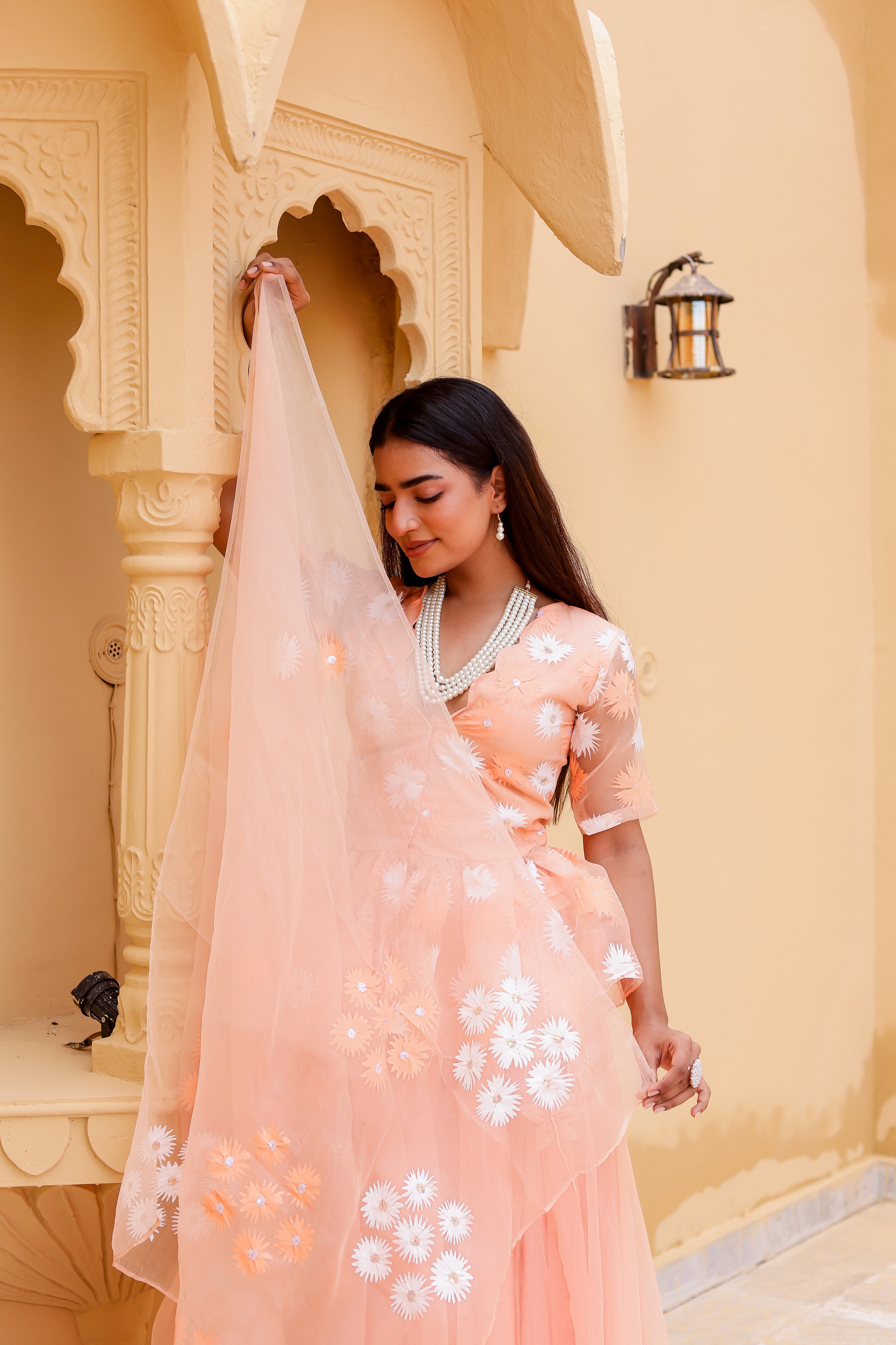 Raag Madhuwanti (Handpainted Peach Pure Organza Lehenga)