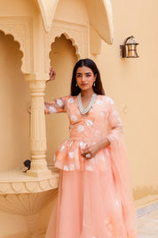 Raag Madhuwanti (Handpainted Peach Pure Organza Lehenga)