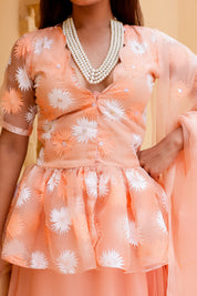Raag Madhuwanti (Handpainted Peach Pure Organza Lehenga)