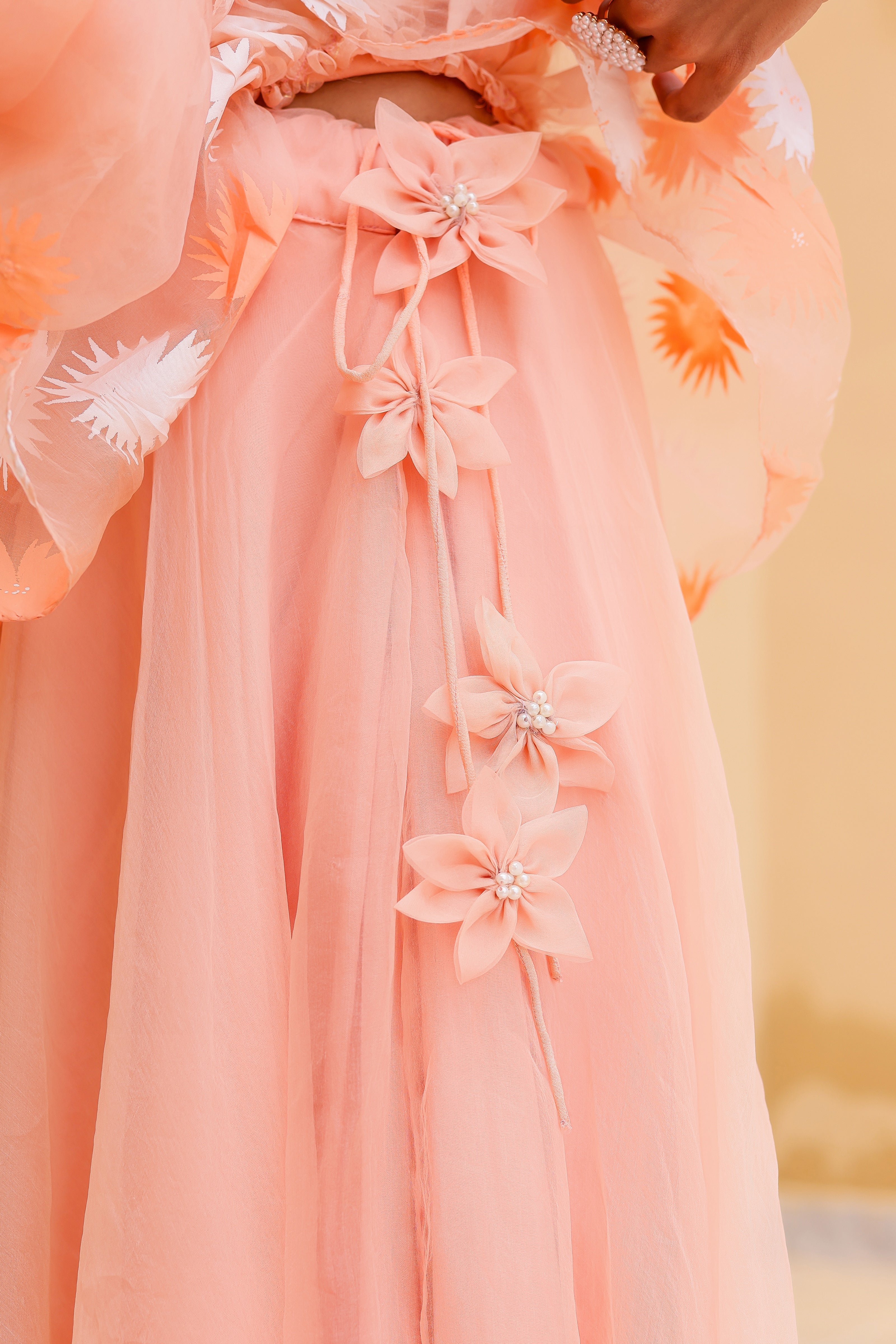 Raag Madhuwanti (Handpainted Peach Pure Organza Lehenga)
