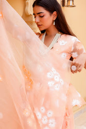 Raag Madhuwanti (Handpainted Peach Pure Organza Lehenga)