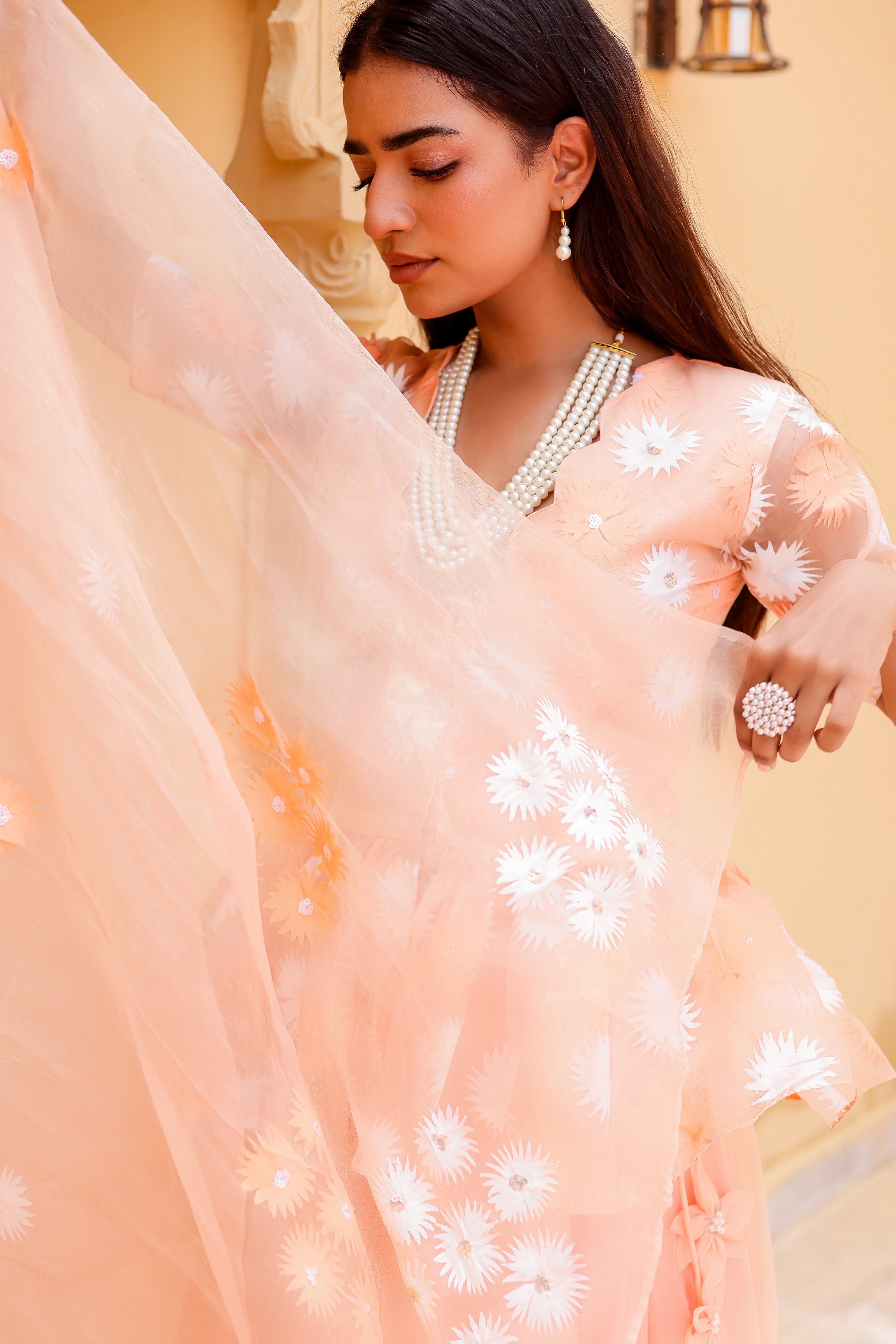 Raag Madhuwanti (Handpainted Peach Pure Organza Lehenga)