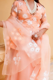 Raag Madhuwanti (Handpainted Peach Pure Organza Lehenga)