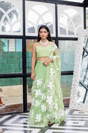 Raag Miyan ki Malhar (Handpainted Pastel Green Pure Organza Lehenga)