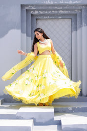 Raag Tilak Kamod (Handpainted Yellow Pure Organza Lehenga)