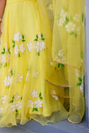 Raag Tilak Kamod (Handpainted Yellow Pure Organza Lehenga)