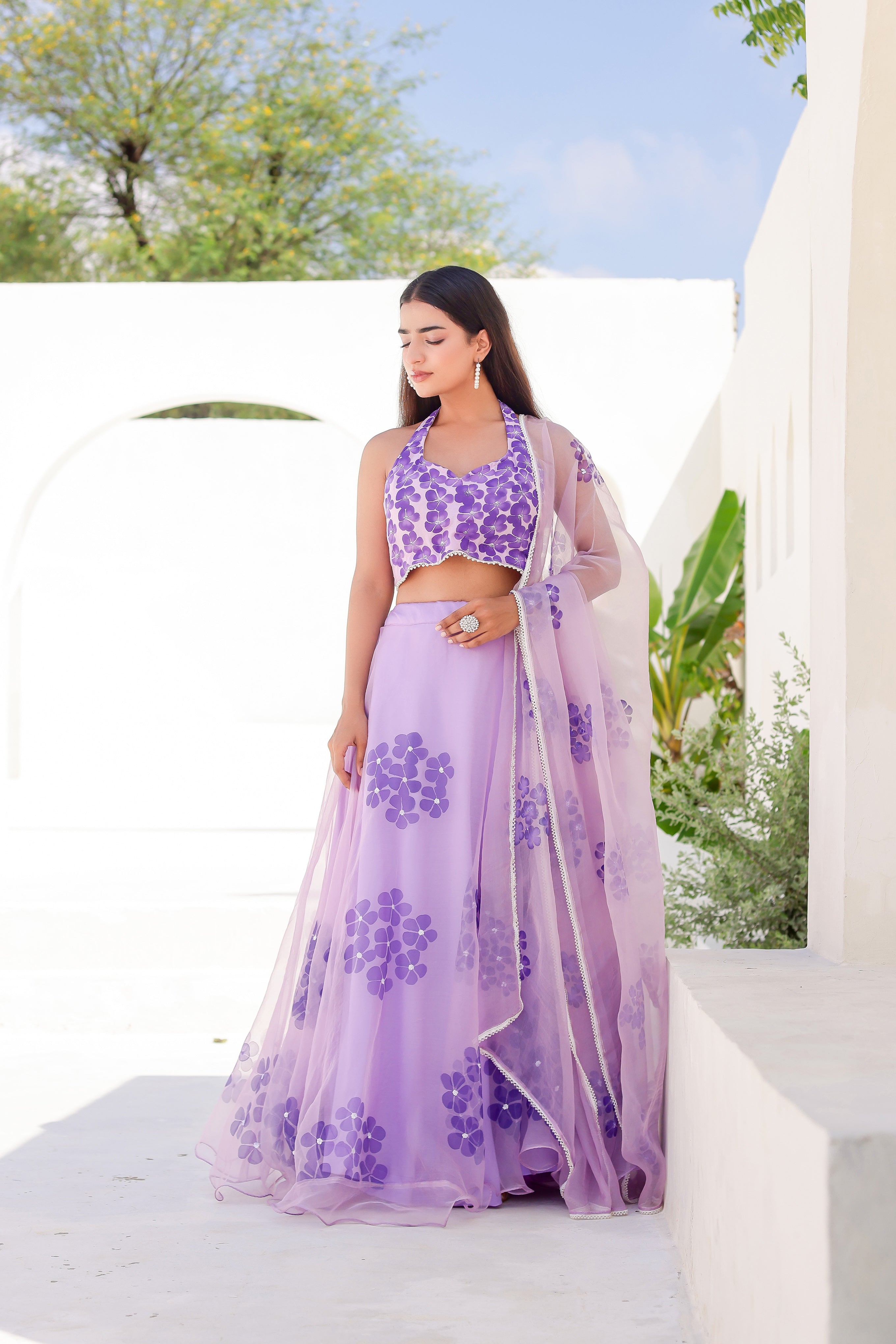 Raag Jog (Handpainted Purple Pure Organza Lehenga with Sequins work)