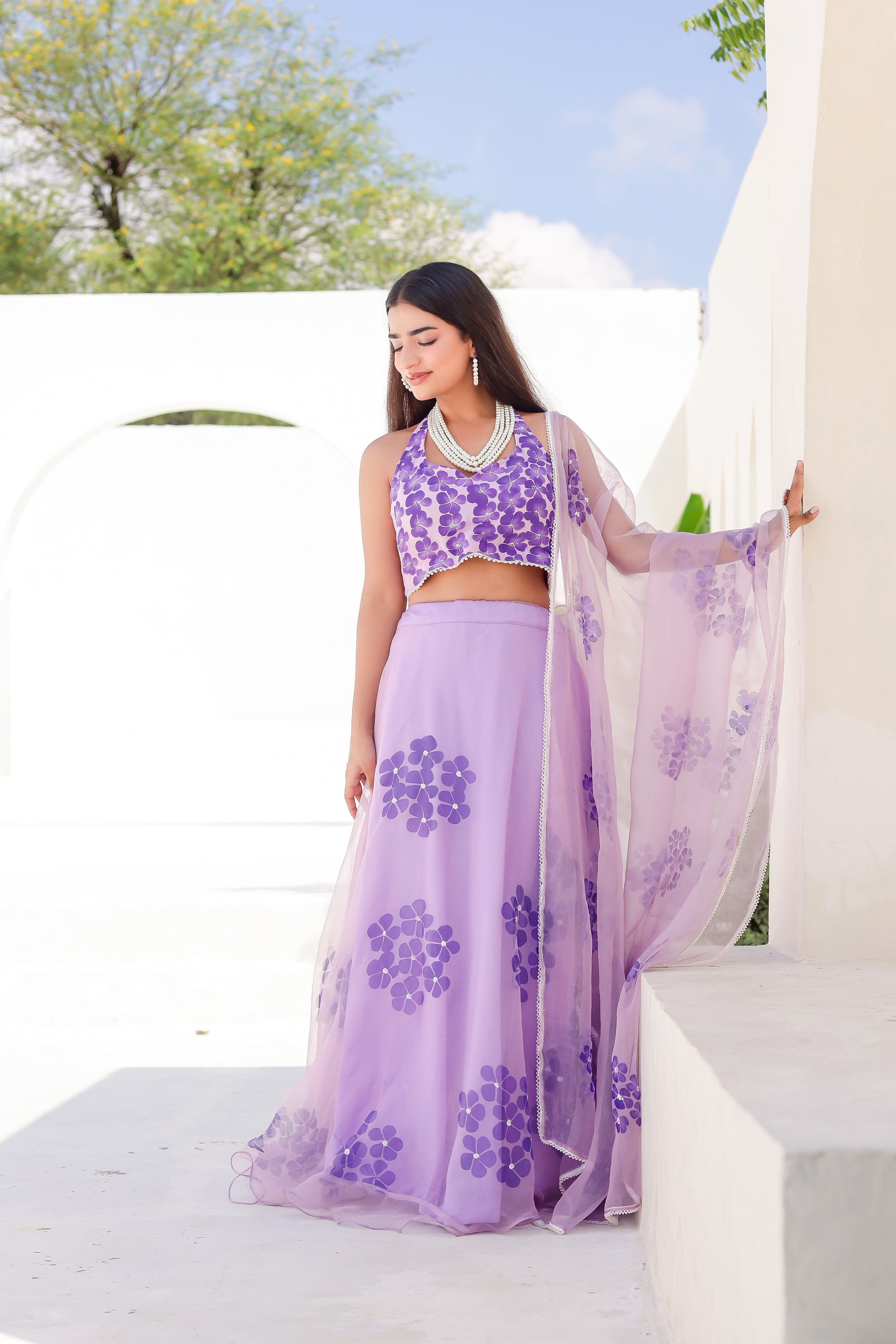 Raag Jog (Handpainted Purple Pure Organza Lehenga with Sequins work)