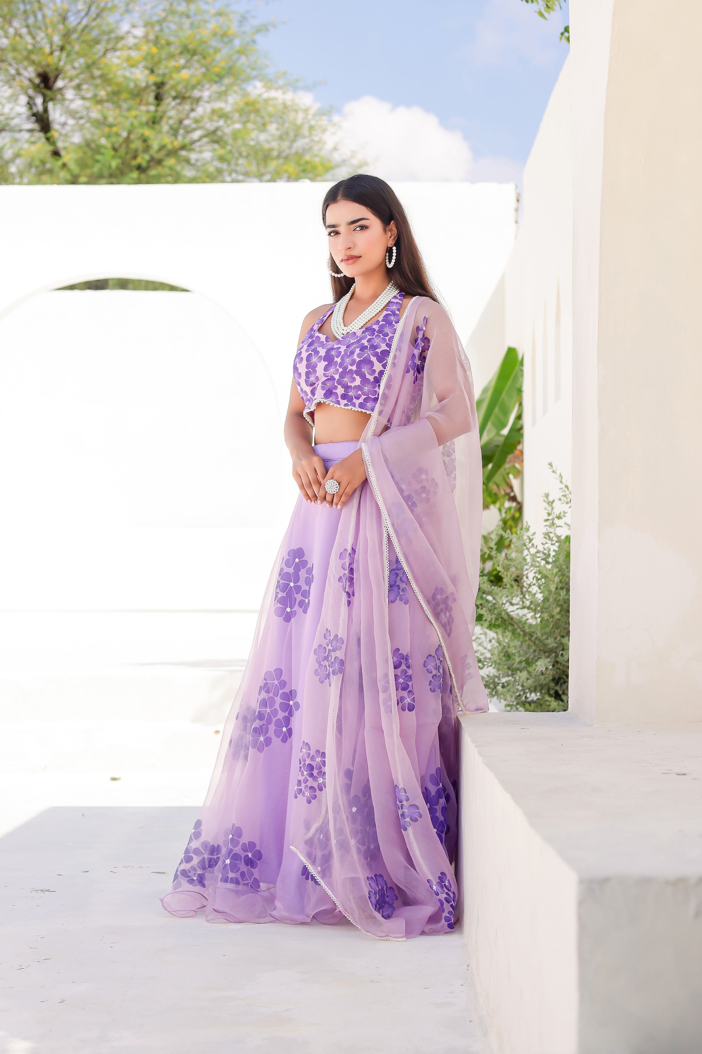 Raag Jog (Handpainted Purple Pure Organza Lehenga with Sequins work)