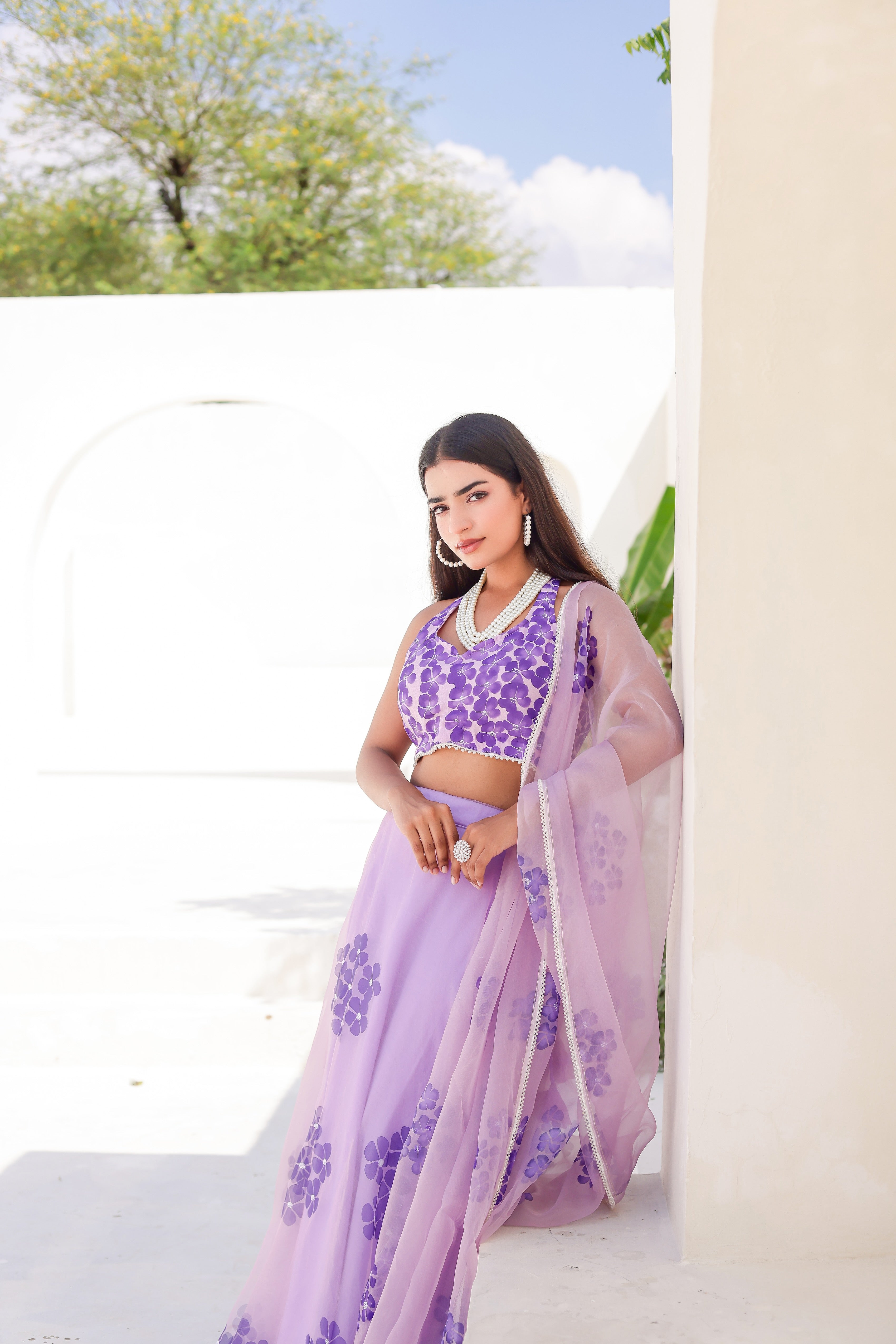 Raag Jog (Handpainted Purple Pure Organza Lehenga with Sequins work)