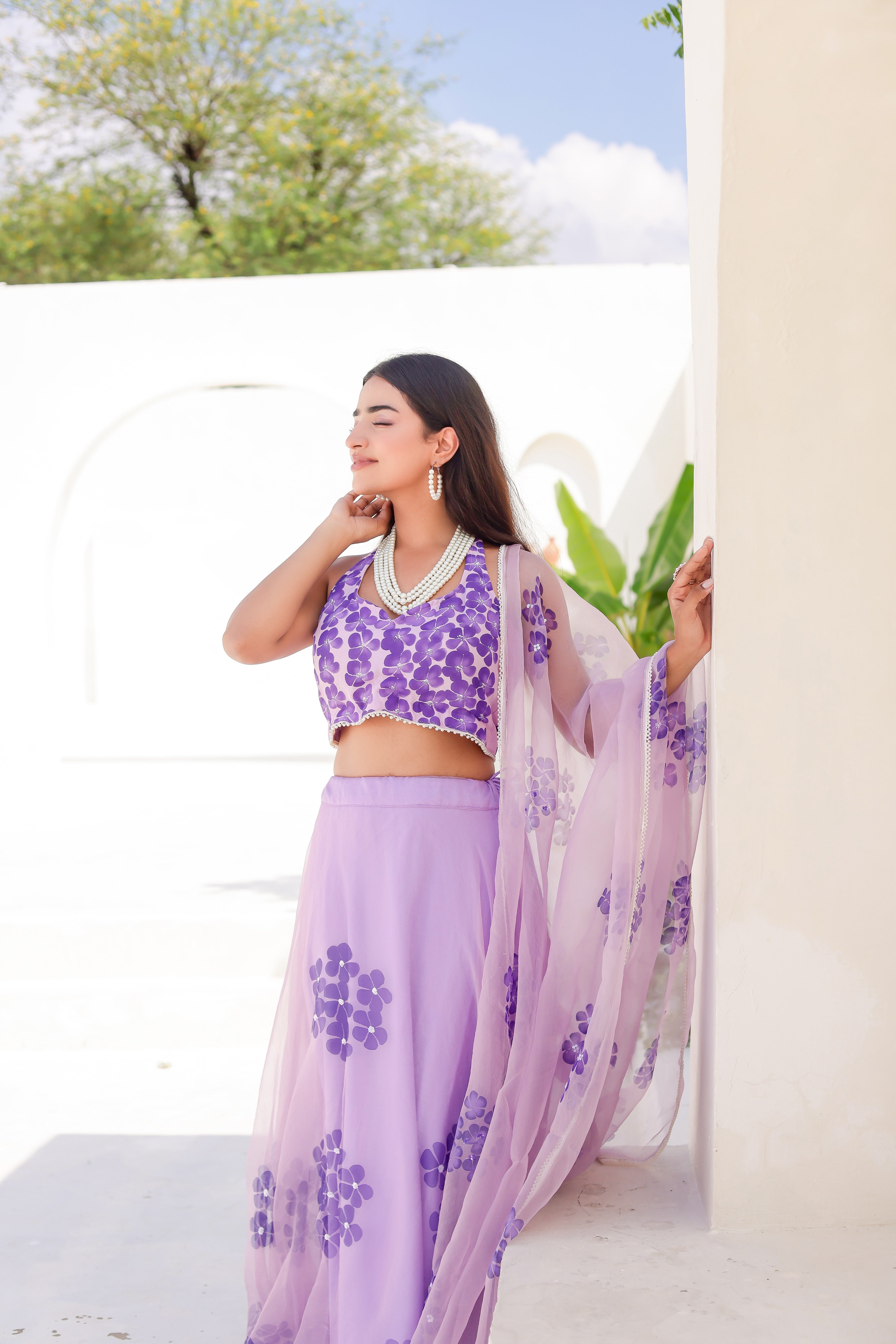 Raag Jog (Handpainted Purple Pure Organza Lehenga with Sequins work)