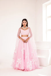 Raag Kedar (Handpainted Baby Pink Lehenga on Pure Organza)