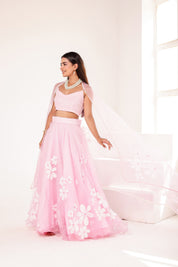 Raag Kedar (Handpainted Baby Pink Lehenga on Pure Organza)