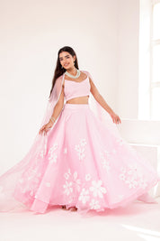 Raag Kedar (Handpainted Baby Pink Lehenga on Pure Organza)